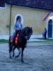 Lilienhof 270805 159